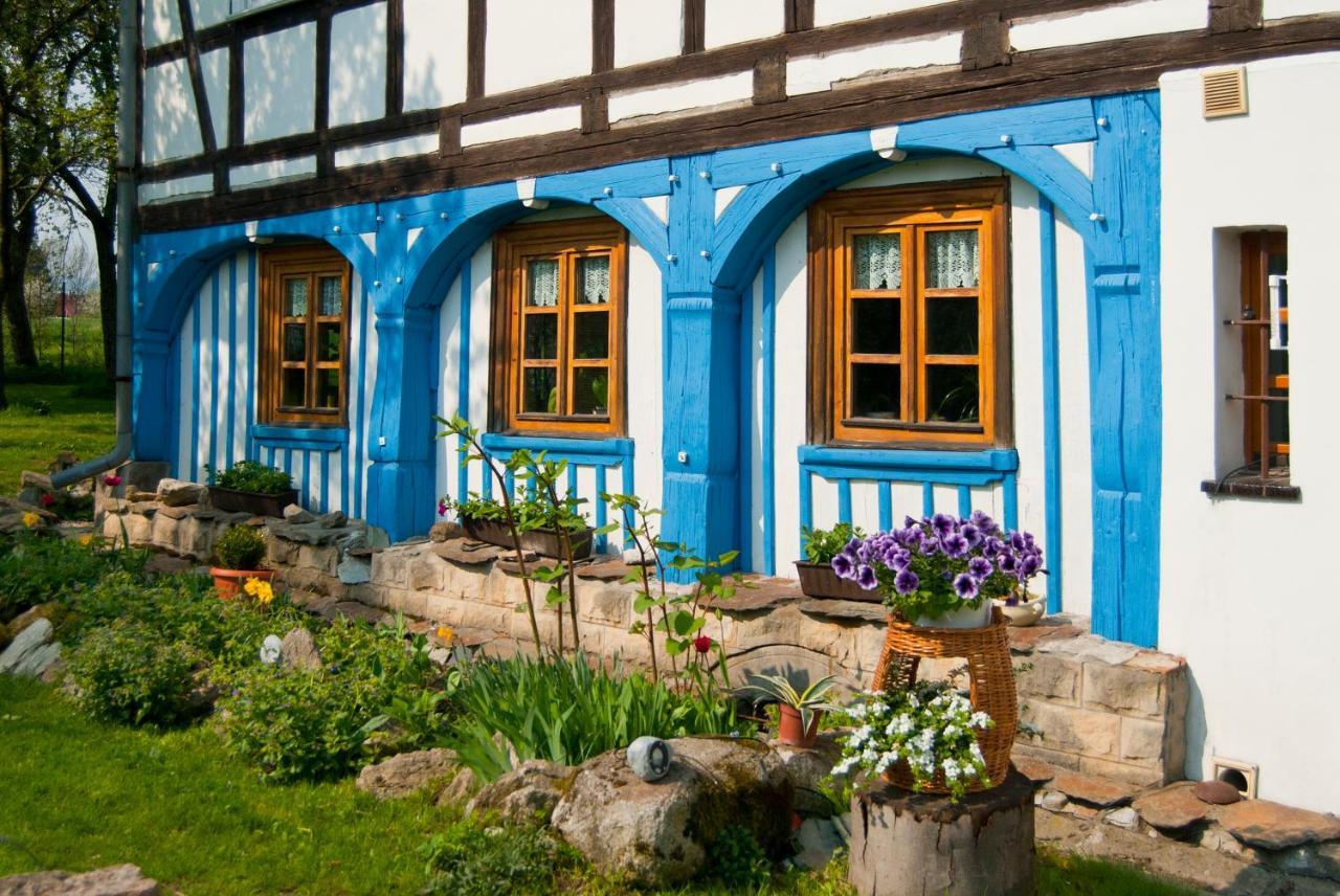 Dom Przyslupowy Educare -Agroturystyka Slow Food Świeradów-Zdrój Buitenkant foto